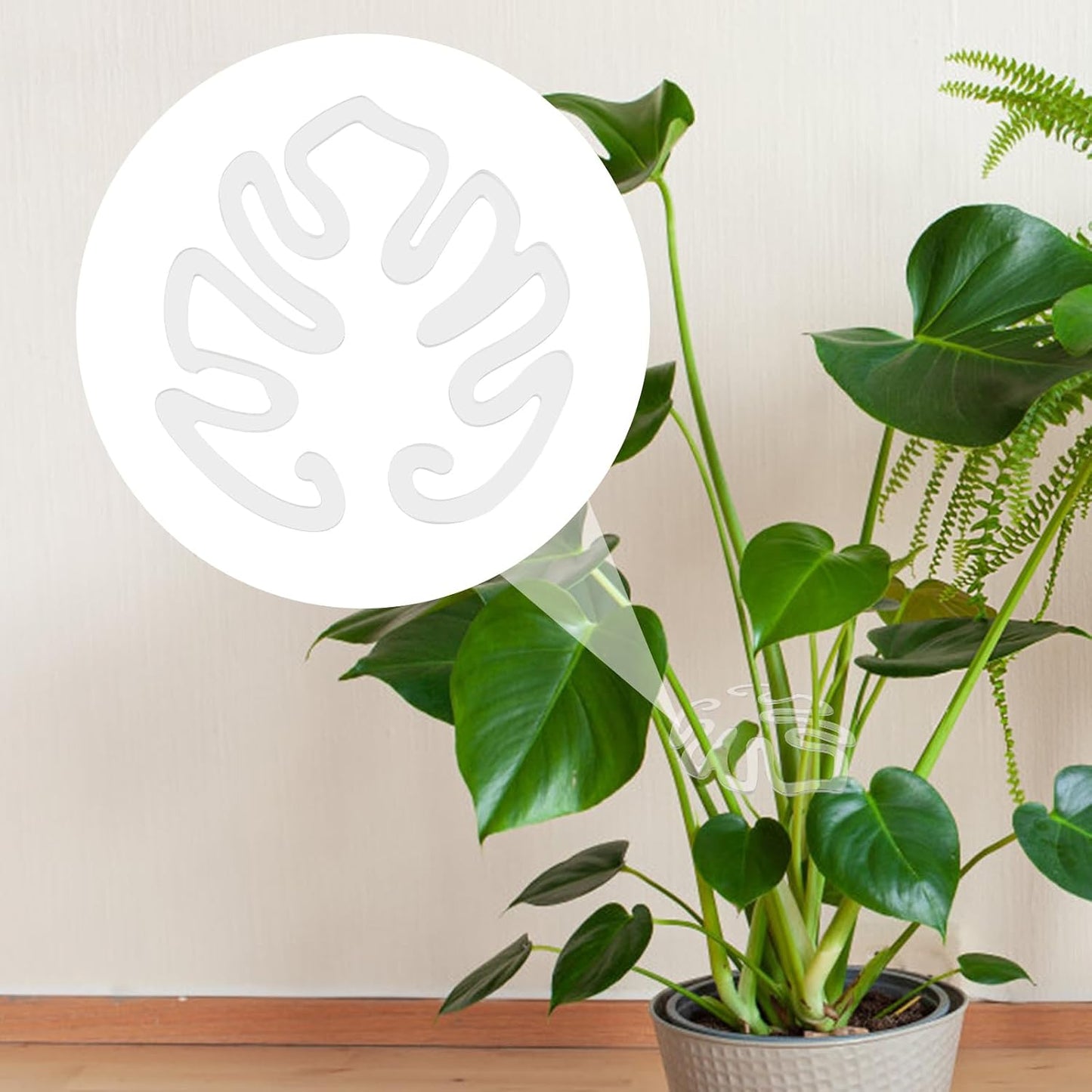 Gjennomsiktig plantepinn i akryl i form av et Monstera-blad | Usynlig stammeunderstøttelse for potteplanter innendørs 🌿