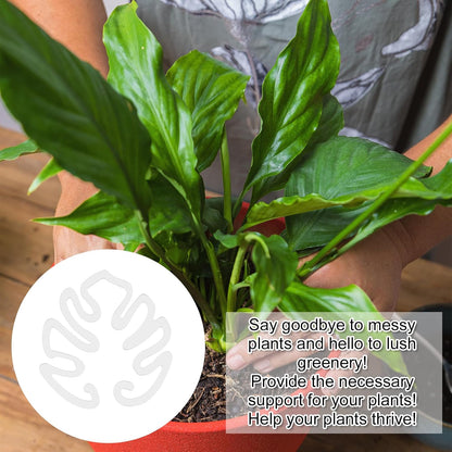 Gjennomsiktig plantepinn i akryl i form av et Monstera-blad | Usynlig stammeunderstøttelse for potteplanter innendørs 🌿