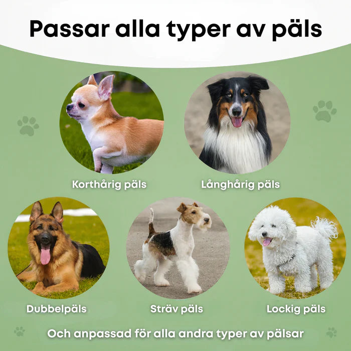 🐶 Hundebørste som stopper håravfall og holder hjemmet ditt rent 🦴