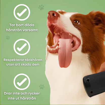 🐶 Hundebørste som stopper håravfall og holder hjemmet ditt rent 🦴